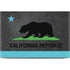 California Neon Republic Dell XPS Skin